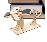Esperienze Scienziate Interattive in Legno