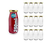 Espirito Rebelde 12 bottiglie di vetro vuote da 250 ml con coperchio, bottiglie di vetro per succhi, latte, barbecue, salse, ideali per picnic, matrimoni e feste