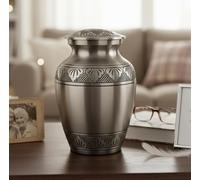 eSplanade Urna per cremazione in Ottone Urna per memoriali Contenitore per Vaso per Vaso | Urne in Ottone | Urna di Metallo | Burial Urn | Urna commemorativa (Argento)