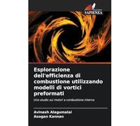 Esplorazione dell'efficienza di combustione utilizzando modelli di vortici preformati: Uno studio sui motori a combustione interna