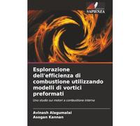 Esplorazione dell'efficienza di combustione utilizzando modelli di vortici preformati: Uno studio sui motori a combustione interna