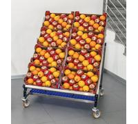 Espositore Bancarella Inclinabile Piano Doppio in Acciaio Inox Arredo Ortofrutta