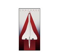 Espositore da parete per Lego 10318 Concorde, supporto da parete per montaggio a parete per set di edifici Concorde, regalo ideale per gli appassionati di Concorde, 60 x 120 cm (10318 C)