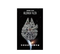 Espositore da parete per Lego 75375 Millennium Falcon, supporto da parete per montaggio a parete, per auto da corsa, regalo ideale per gli appassionati di modellini, 50 x 80 cm (75375 B)