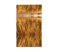 Espositore decorativo per esterni con stampa campo di grano, per tutte le stagioni, modello su un solo lato, portico, patio