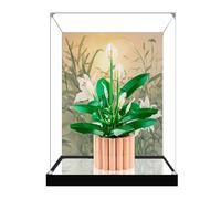 Espositore in acrilico da 3 mm per Lego 11504 modello Peace Lily, scatola trasparente antipolvere, compatibile con il modello Lego 11504 (modello non incluso) (sfondo+base a specchio)