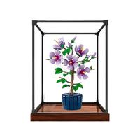 Espositore in acrilico per Lego 10372 modello fiori di ibisco, antipolvere, scatola trasparente, scatola espositiva compatibile con Lego 10372 (solo custodia, nessun modello) (telaio in lega 3 mm A)