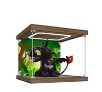 Espositore in acrilico per Lego 10375 How to Train Your Dragon Toothless Model, 3 mm antipolvere, espositore compatibile con Lego 10375 (modello non incluso) (lampada rettangolare)