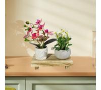 Espositore per Lavabo con Piedistallo in Legno, Elegante Portasapone con Base