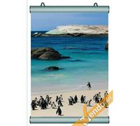 ESPOSITORE PORTA BANNER CORNICE PORTA FOTO MANIFESTO POSTER DA APPENDERE A MURO