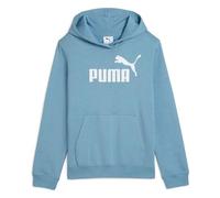 Ess No. 1 Logo Hoodie FL G