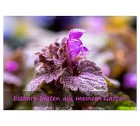 Essbare Blüten aus meinem Garten (Wandkalender 2026 DIN A3 quer), CALVENDO Monatskalender: Essbare Blüten - ein Fest für die Sinne