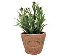 Esschert Design del ah011 Piccolo Artificiale in Terracotta, Effetto Anticato, rosmarino