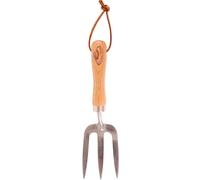 Esschert Design GT 10 30 x 9 x 5cm Legno/Giardino in Acciaio Inox Trident - Marrone