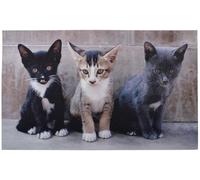 Esschert, Zerbino Gattini - RB142