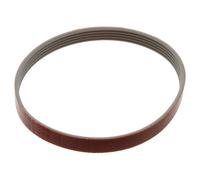 Essedue Rheninghaus cinghia trasmissione MEGADYNE TB2-295 affettatrice 195 Vega