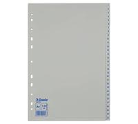 Esselte 100156 - Divisori per Formato A4, 31 divisori, con Numeri da 1 a 31, in plastica Resistente, Colore: Blu/Bianco