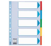 Esselte 100191 intercalare NEW