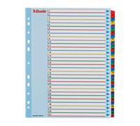 ESSELTE Rubrica MYLAR numerica 1-31 con indice riscrivibile - f.to A4 MAXI - 100210