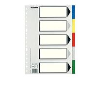 Esselte 11609 - Scatola con 100 Divisori in plastica con 5 linguette, colore: bianco