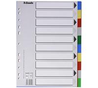 Esselte 11710 - Separatore di plastica, formato A4, 10 posizioni