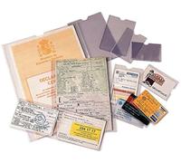 Esselte 46001 Confezione 100 Portatessera, PVC, 87 x 56 mm