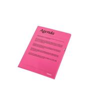 Esselte Buste L DE LUXE - PPL antiriflesso - f.to A4 (Mapp PP A4 105 my Red100 s