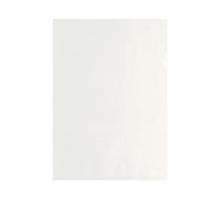 Esselte Cf100 Buste L Deluxe Lucida 22x30 395484100