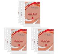 Esselte Buste Perforate Office, in PPL Antiriflesso, per Archiviare e Conservare Documenti in Formato 22x30 cm, Confezione da 300 Buste, 391097100