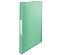 ESSELTE Colour'Ice Portalistino fogli fissi - PPL 80 buste - f.to A4 - Verde -