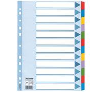 Esselte, Intercalare Mylar -12 tasti colorati, A4 - multicolore 100169