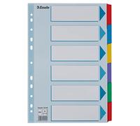Esselte Divisori per Raccoglitori con 6 Tasti, Formato A4, Blu/Multicolore, Cartoncino Robusto Riciclato, 6 Tasti con Pagina Indice, 100168