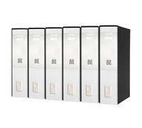 Esselte Raccoglitore a leva Dox 2 CF6 A4 Protocollo D8 Bianco - Confezione da 6 pezzi