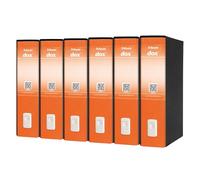 Esselte CF6DOX 2 REGISTRATORE ARANC D26202