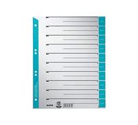 Esselte Leitz 1652-100 Fogli separatori per raccoglitore formato A4, colore: Blu