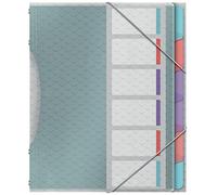 Esselte Classificatore Colour'Breeze A4 6 divisori dorso 2 cm Multicolore