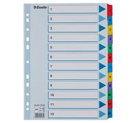 Esselte Rubrica con Tasti 1-12, Formato A4, Tasti e Banda Perforata con Rinforzo in Plastica Mylar, Cartoncino Robusto, Blu, 12 Tasti con Pagina Indice, 100162