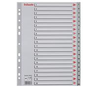 Esselte Rubrica con Tasti 1-20, Formato A4, Formato Extra Largo, Grigio, Divisori in Polipropilene Robusto con Pagina Indice, 100107