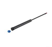 Essential - Asta di riparazione per pompa ad aria per forcelle anteriori della bicicletta, in lega di alluminio, adatta per vari tipi di forcella (73,7 cm)