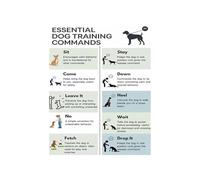 Essential Dog Commands Training Guide Poster for New Puppy Owners Basic Obedience Tricks Wall Art Pet Lover Home Decor(Framed,12X18inch(30X45cm))