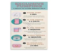 Essential Lactation and Breast Milk Storage Guide Practical Educational Chart Poster New Parents Gift for Pumping Moms(Unframed,12x18inch(30x45cm))