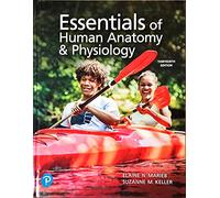 Essentials of Human Anatomy & Physiology, 13th edition, c.2022, 9780137321599, 0137321597