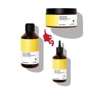 Essentials YES SHINE Promo Prova 3 pezzi Elgon Capelli Lucenti effetto Specchio