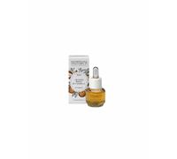 Essenza aromatica Arancio dolce e Cannella