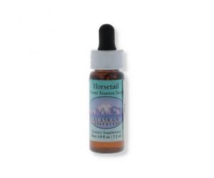 Essenza Singola Alaska - Lamb's Quarters 7,4 Ml