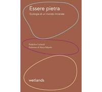 Essere pietra. Ecologia di un mondo minerale