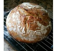 Essiccato 100% Tutto Grano Lievito Naturale Pane Starter Priobiotic Lievito
