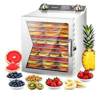 Essiccatore Inox Per Alimenti 800W Con Vassoi Grandi Capacità, Timer e Controllo Temperatura Preciso, Ideale Per Carne Secca, Frutta, Verdure, Dog Snacks ed Essiccazione Erbe(12Layers)