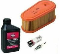 Essie Service KIT per motore Briggs e Stratton DOV di ISE Forest Garden