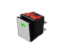 ESTAOUAK 16A High Current Rocker Switch 4pin Aluminum Panel Waterproof IP65 with LED 9-24V Drawing Process, Aluminum Oxidation of Key(Green(Silvery Panel),220V)